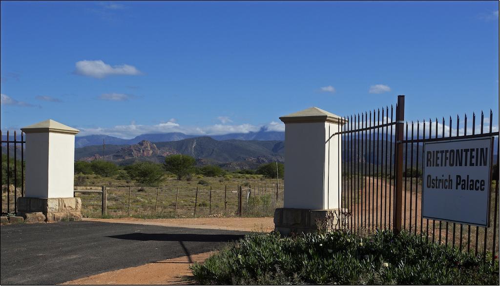Rietfontein Ostrich Palace Vleirivier Buitenkant foto